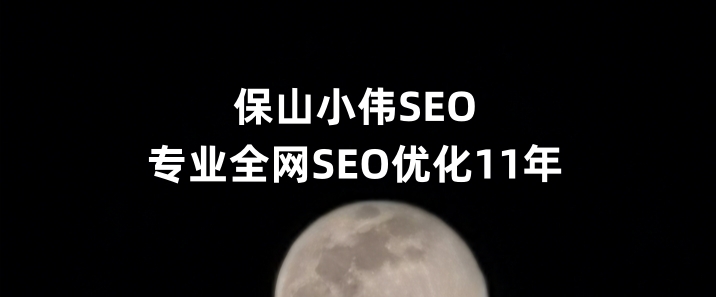 保山SEO优化公司小伟SEO