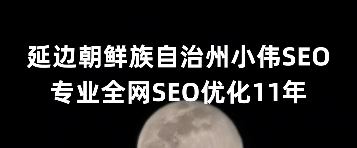 延边朝鲜族自治州SEO优化公司小伟SEO